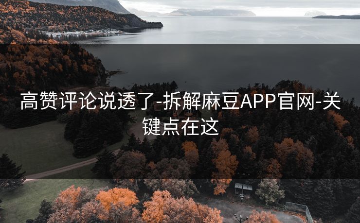 高赞评论说透了-拆解麻豆APP官网-关键点在这