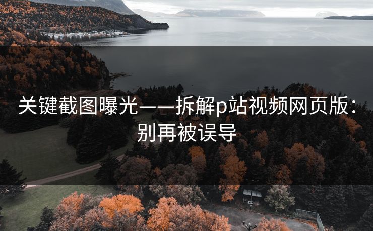 关键截图曝光——拆解p站视频网页版：别再被误导