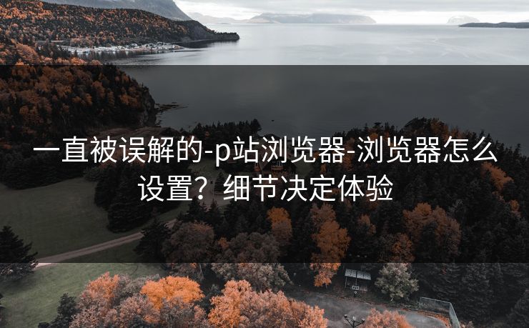 一直被误解的-p站浏览器-浏览器怎么设置？细节决定体验