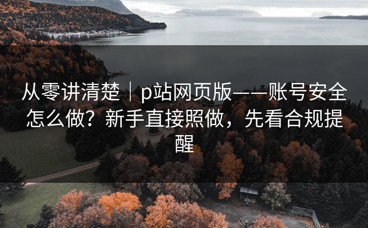 从零讲清楚｜p站网页版——账号安全怎么做？新手直接照做，先看合规提醒