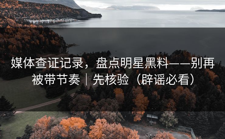 媒体查证记录，盘点明星黑料——别再被带节奏｜先核验（辟谣必看）