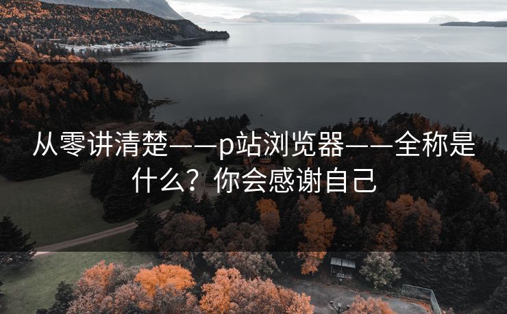 从零讲清楚——p站浏览器——全称是什么？你会感谢自己