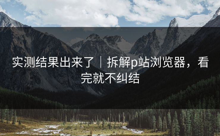 实测结果出来了｜拆解p站浏览器，看完就不纠结