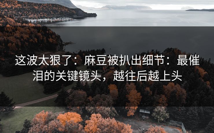 这波太狠了：麻豆被扒出细节：最催泪的关键镜头，越往后越上头