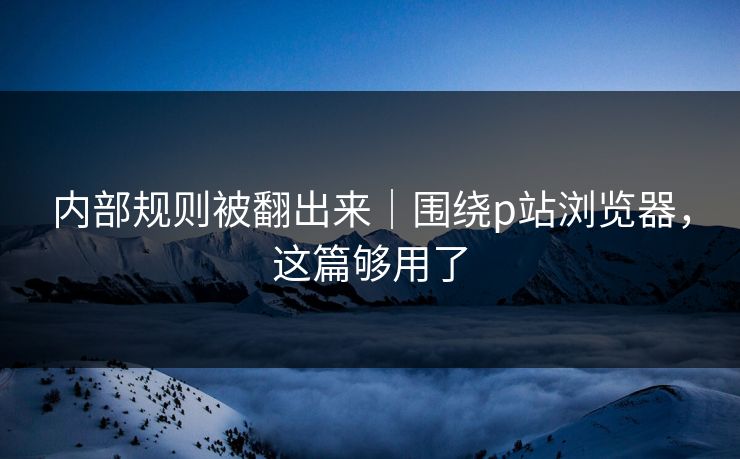 内部规则被翻出来｜围绕p站浏览器，这篇够用了