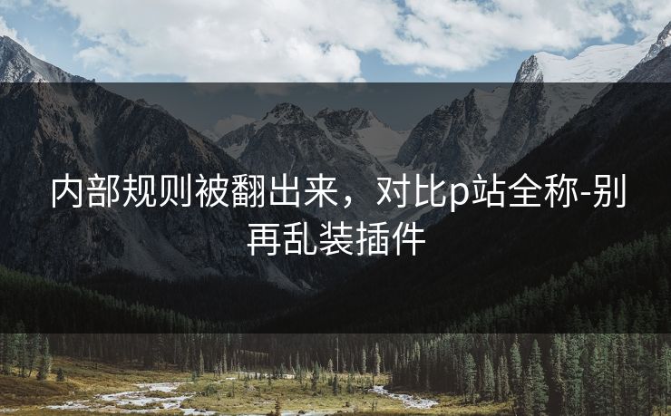内部规则被翻出来，对比p站全称-别再乱装插件