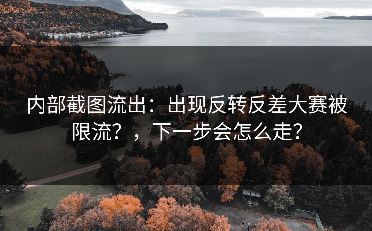 内部截图流出：出现反转反差大赛被限流？，下一步会怎么走？