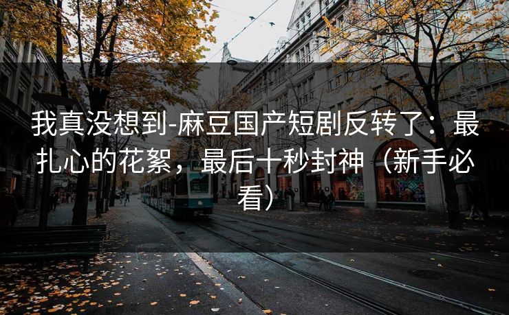我真没想到-麻豆国产短剧反转了:最扎心的花絮,最后十秒封神(新手必看) 我真没想到-麻豆国产短剧反转了:最扎心的花絮,最后十秒封神(新手必看)