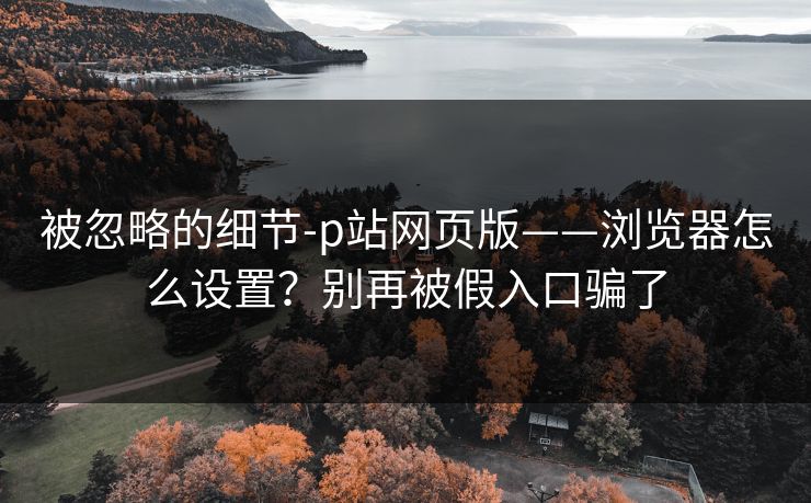 被忽略的细节-p站网页版——浏览器怎么设置？别再被假入口骗了